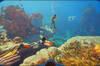 Subnautica 2 ya est� a la venta y arrasa en Steam: supera los 450.000 jugadores simult�neos en apenas una hora