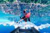 �Es realmente Neverness to Everness un 'GTA anime' y en qu� se diferencia de otros gacha?