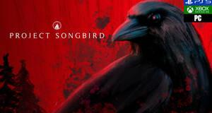 Project Songbird - An�lisis