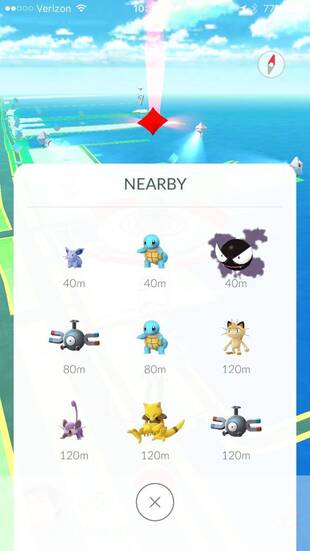 Los Pokémon estarán ahí, en diferentes hábitats y lugares, esperando a que los encontremos.