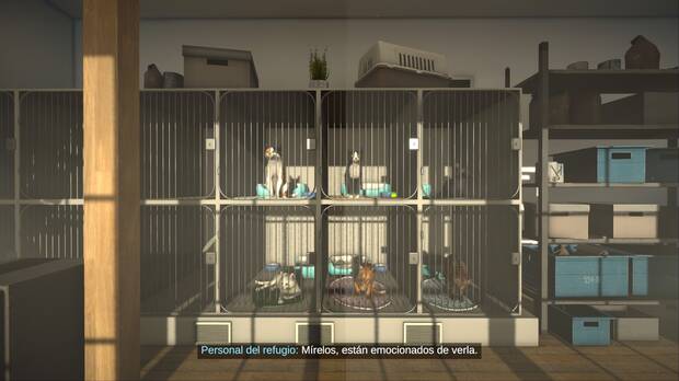 Puedes seleccionar al que ser el gato que controles entre una serie de modelos en el prlogo del juego.