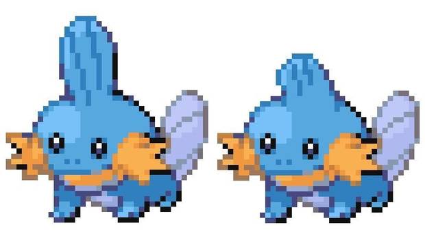 El diseño femenino de Mudkip estaba parcialmente presente en el código final del juego, pero sólo su parte trasera. Ahora conocemos su diseño frontal.
