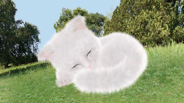 Sesión de curiosidades: Volumen 13 9