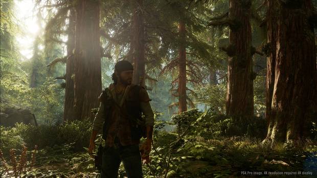 A diferencia de la mayoría de juegos desarrollador por estudios internos de Sony, éste no usa un motor propio, sino una versión modificada del Unreal Engine 4.