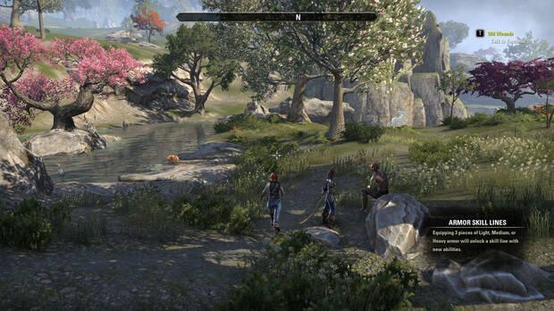 La naturaleza que rodea Shimmerene es lo más cercano al paraíso que veremos en Tamriel.