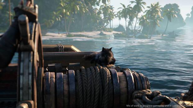 Podremos adoptar un gato muy mono y también un mono, ¿muy gato?