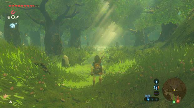 Zonas como el Bosque Kolog de Breath of the Wild tenan serios problemas de rendimiento en Switch, pero ahora mantienen el tipo a 60 imgenes por segundo y con una calidad de imagen fantstica tanto en porttil como en sobremesa.