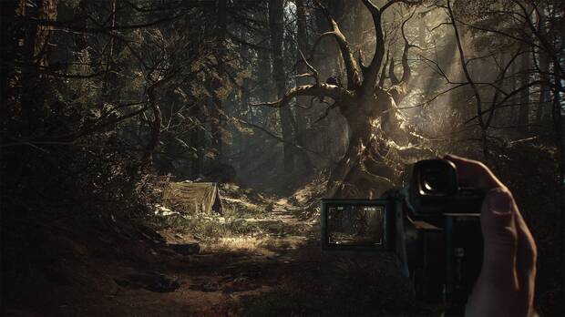 Hay algunos campamentos en el bosque. ¿Alguno tendrá restos de los tres protagonistas de la película original?