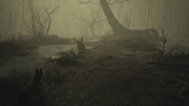 No solo exploraremos zonas repletas de árboles, sino también cuevas, pantanos y otras localizaciones.