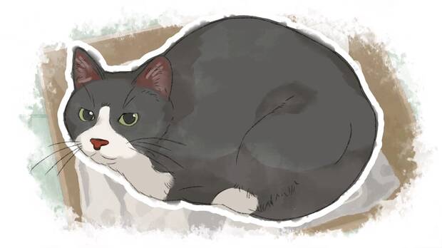  La soledad y lo efmero de la vida contrastan con todo lo positivo que hay en ella, como Nomi.