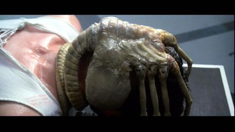 Alien vs Predator: historia de un desencuentro 1