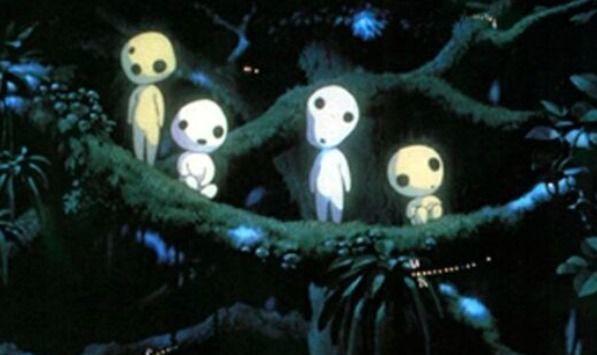 Sesión de Curiosidades: Volumen 19 - Especial vosotros 5