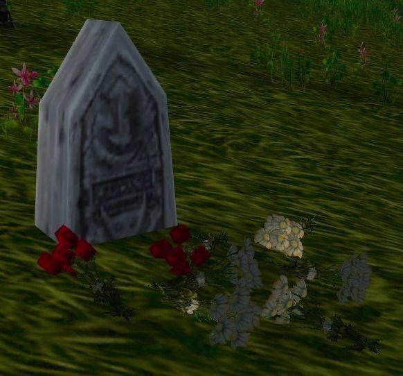 Sesión de Curiosidades: Volumen 19 - Especial vosotros 10