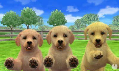 Años después, Nintendo lanzó una especie de Tamagotchi, ‘Nintendogs’.