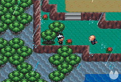 Pokémon Version Rouge Feu / Vert Feuille