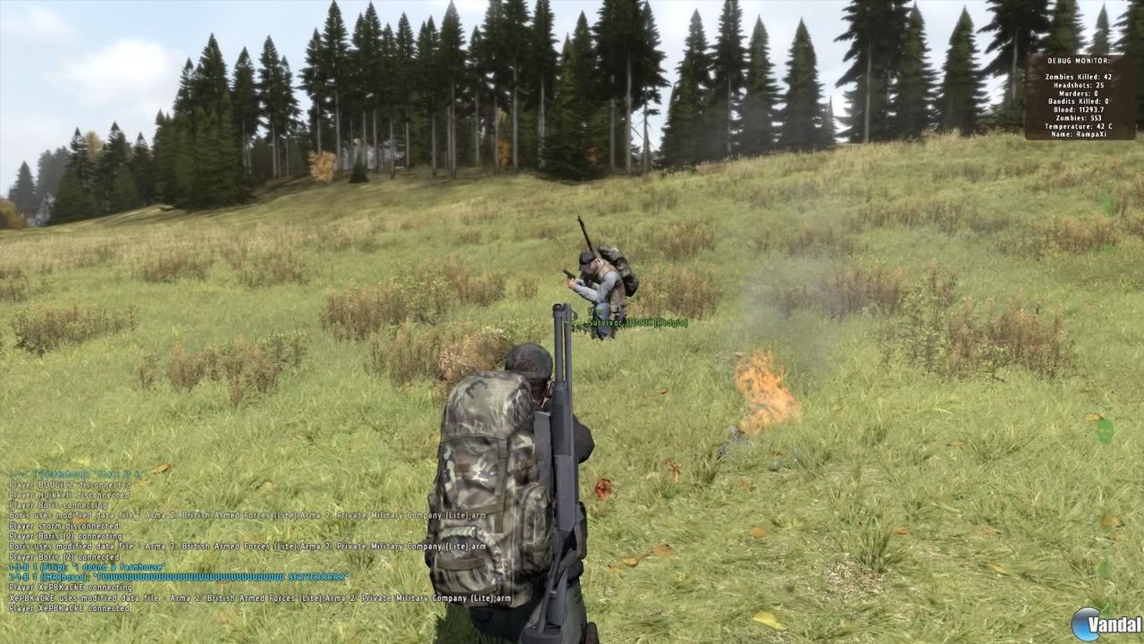 Dentro del fenómeno DayZ 7