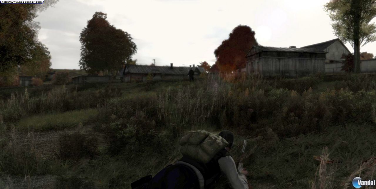 Dentro del fenómeno DayZ 1