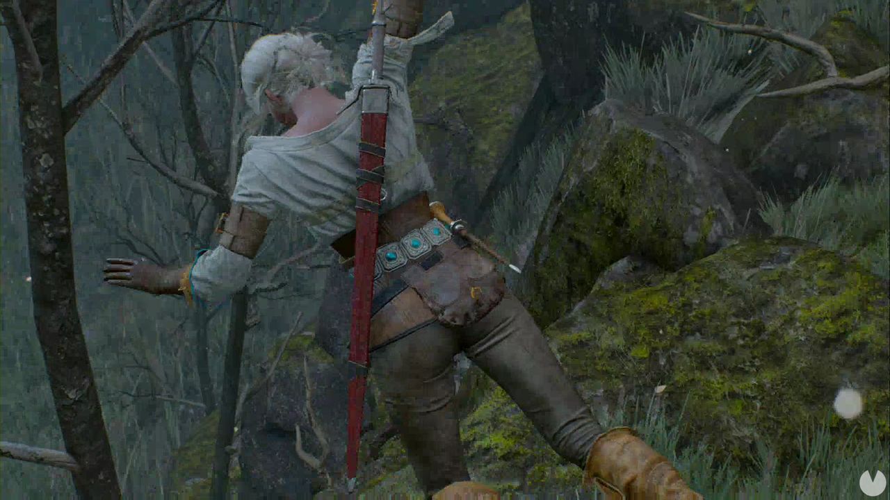 La Mujer Del Varón The Witcher 3