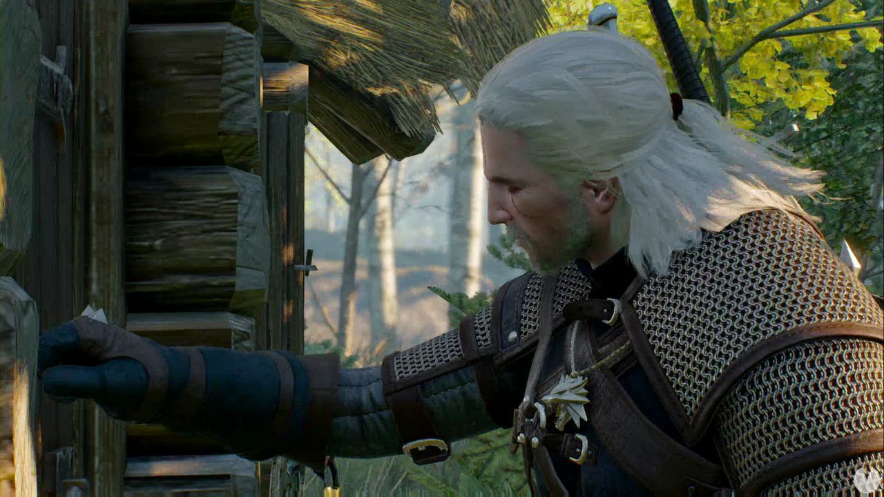 The Witcher 3 Encontrar A La Mujer Del Baron