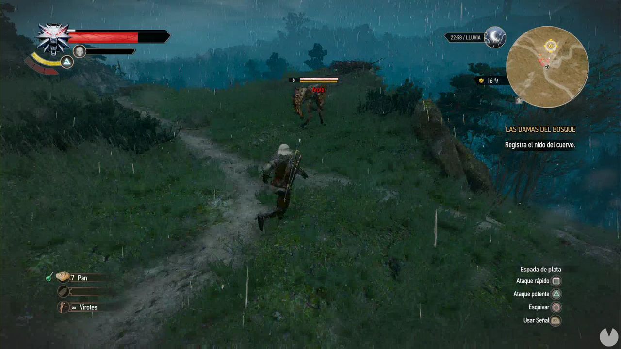 The Witcher 3 Las Damas Del Bosque