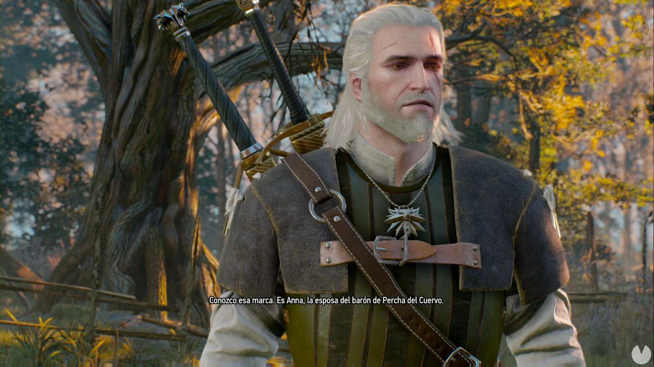 The Witcher 3 Las Damas Del Bosque