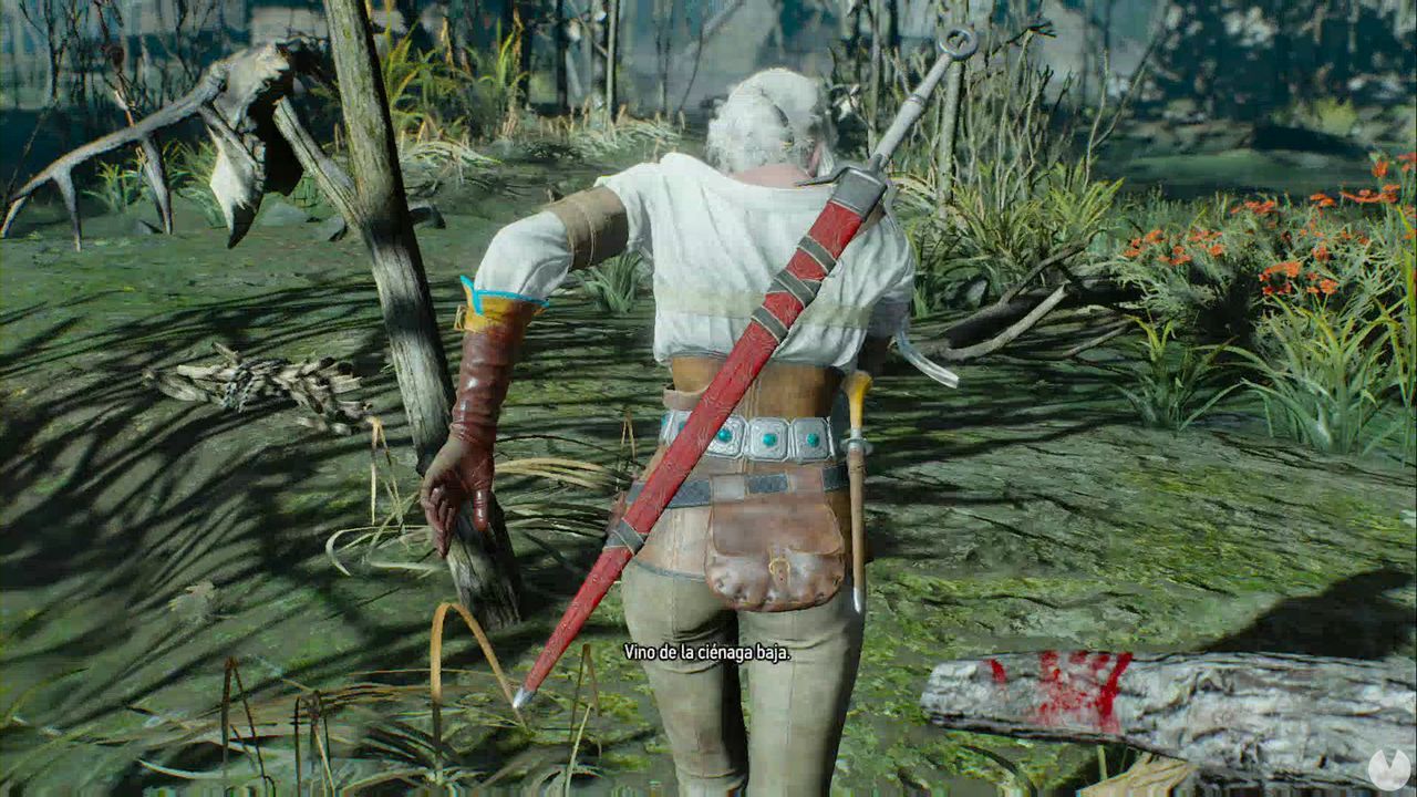 The Witcher 3 Las Damas Del Bosque