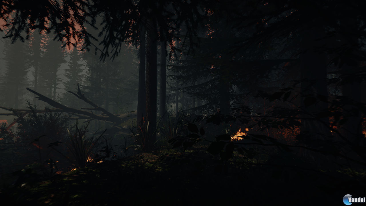 The Forest Videojuego (PC y PS4) Vandal The Forest Videojuego (PC y PS4) Vandal