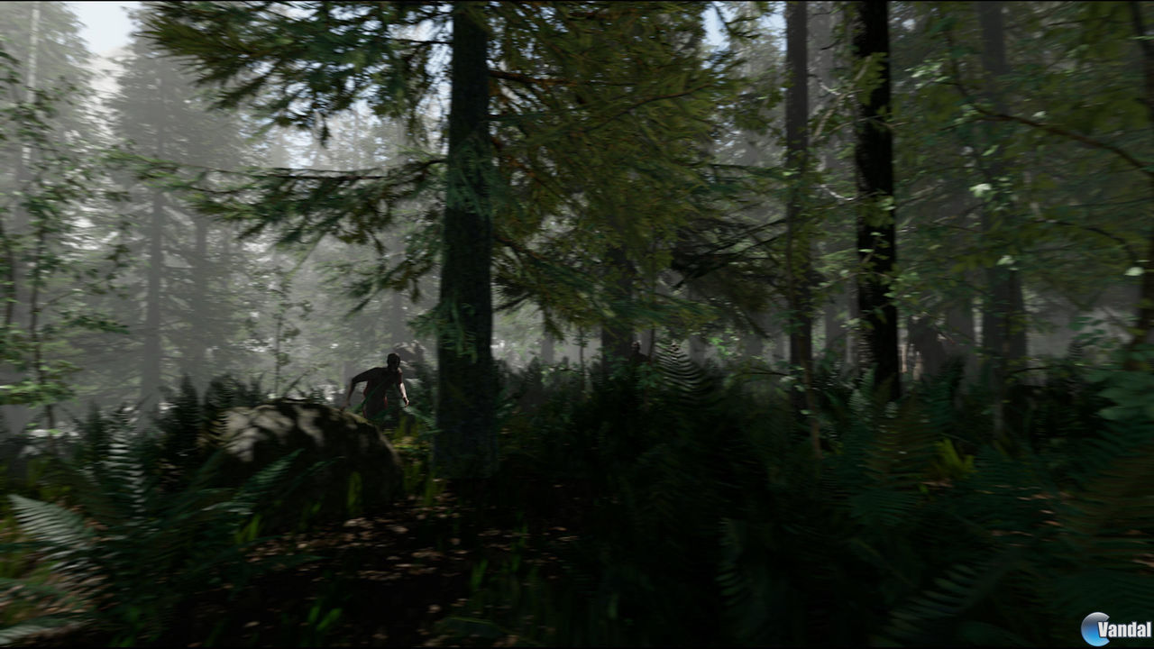 The Forest Videojuego PC Y PS4 Vandal   The Forest 2014325131057 2 