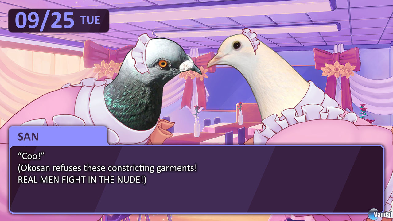 Hatoful boyfriend прохождение