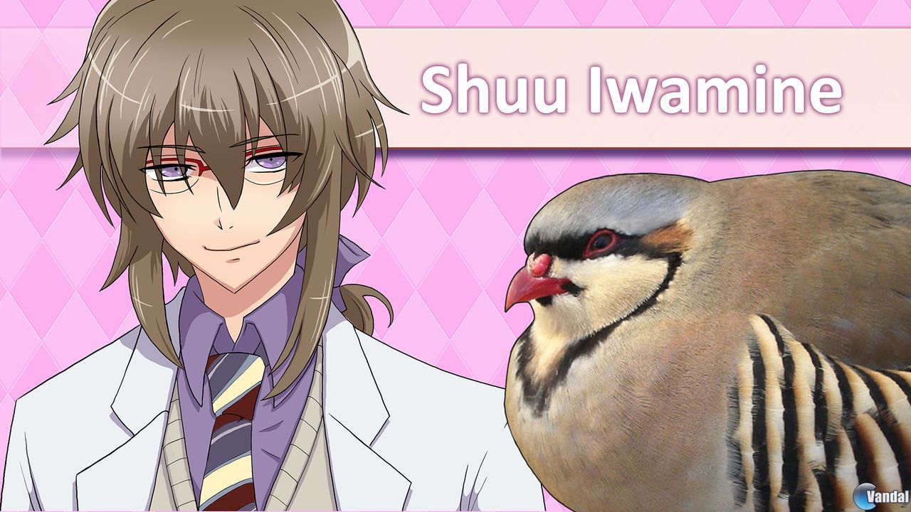 Hatoful boyfriend прохождение