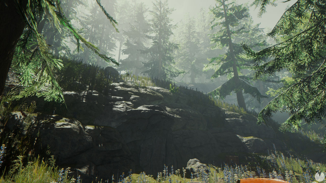 The Forest Videojuego PC Y PS4 Vandal   The Forest 2016122811147 10 