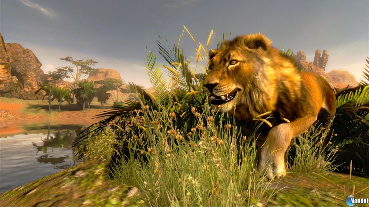 Cabela's Hunting Expeditions Videojuego (PS3, Xbox 360 y PC) Vandal