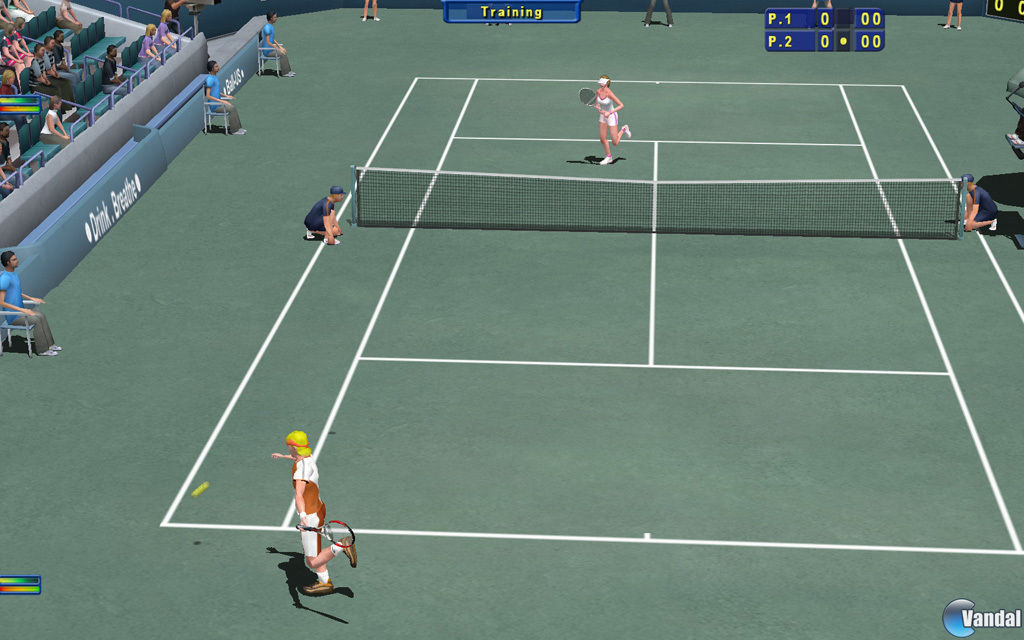 Tennis Elbow 2013 Videojuego (PC) Vandal