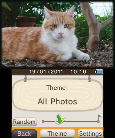 Nintendo 3DS a examen 11