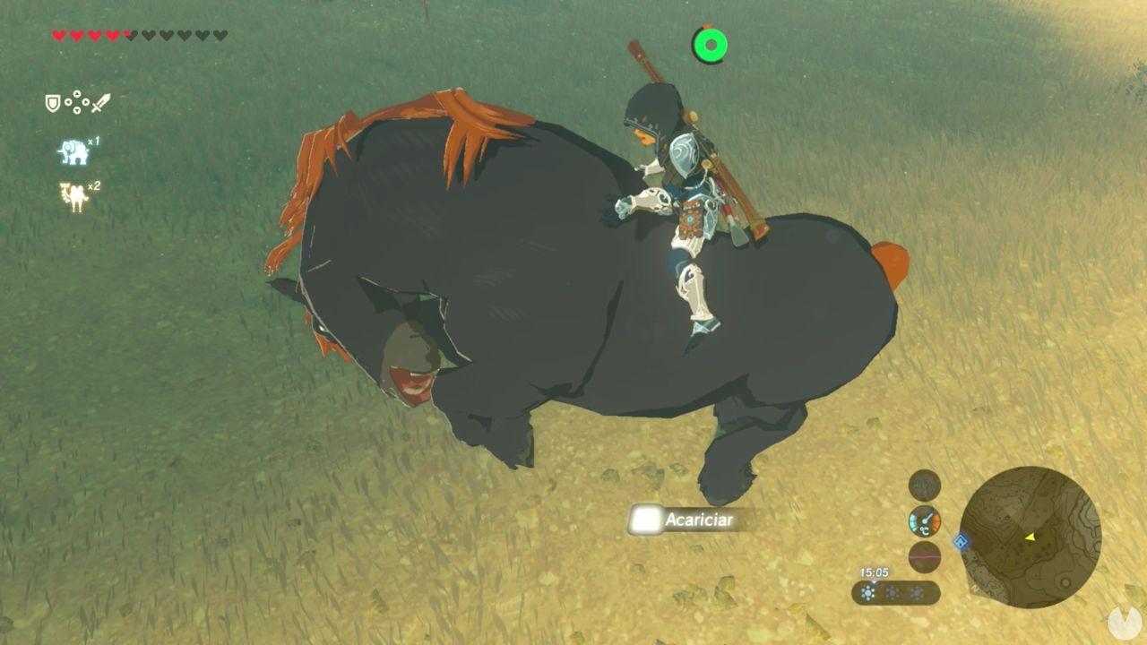 Caballos Zelda Breath Of The Wild