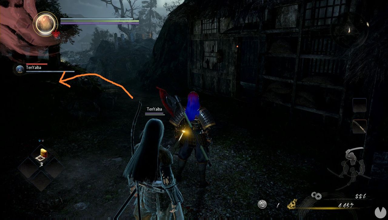 TODOS los Kodamas de la región