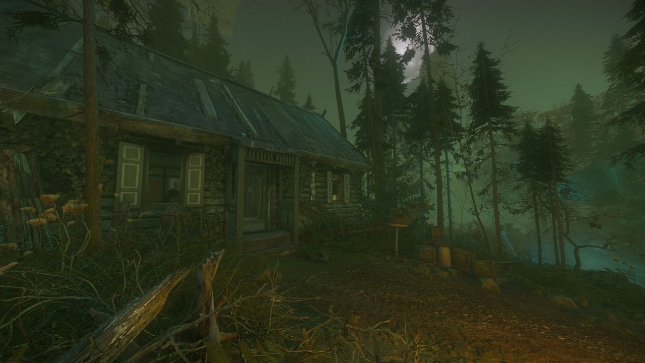 The cursed forest прохождение 2 глава