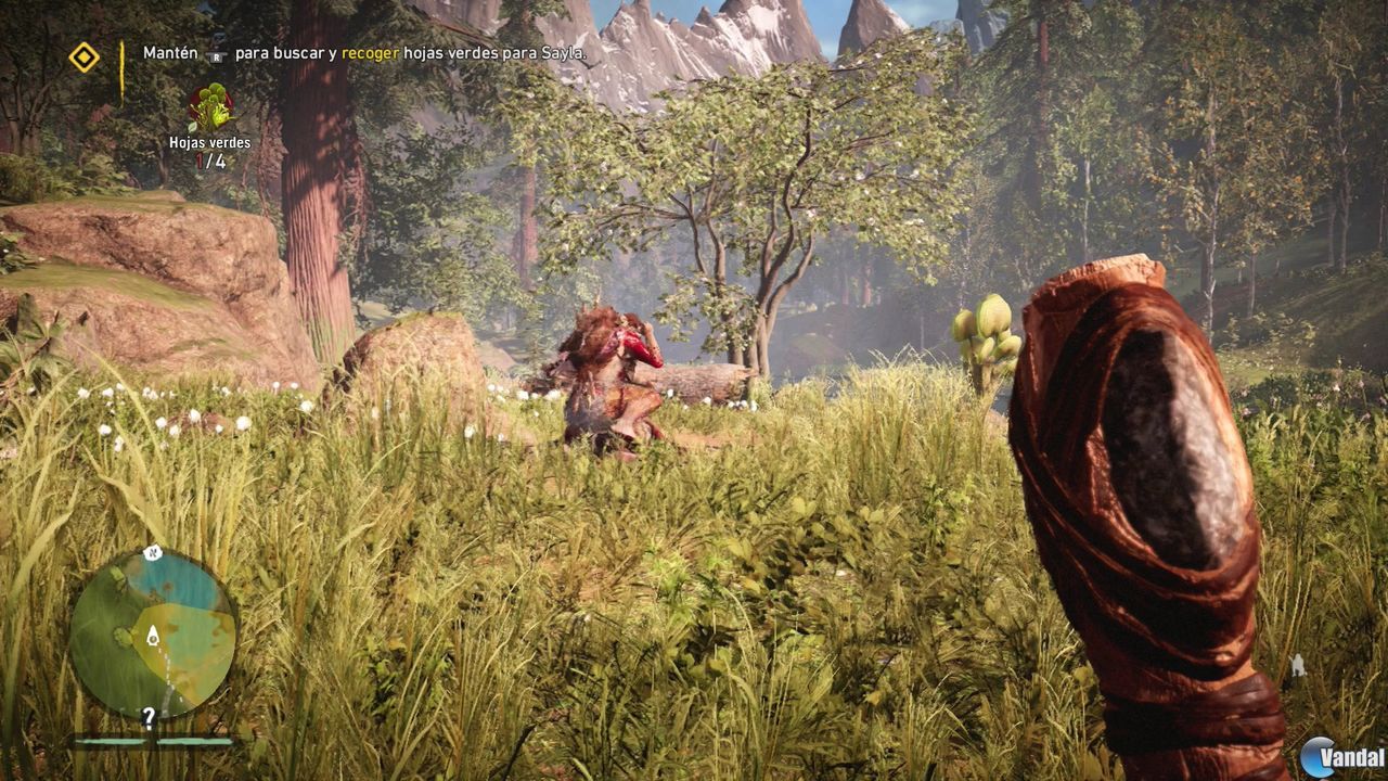 Есть ли far cry primal на xbox 360