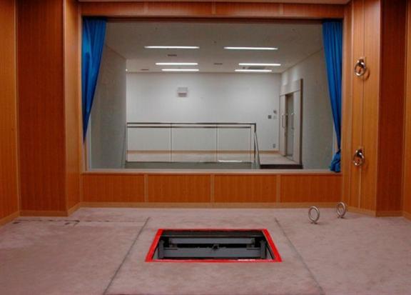 Imagen 20114416943_1