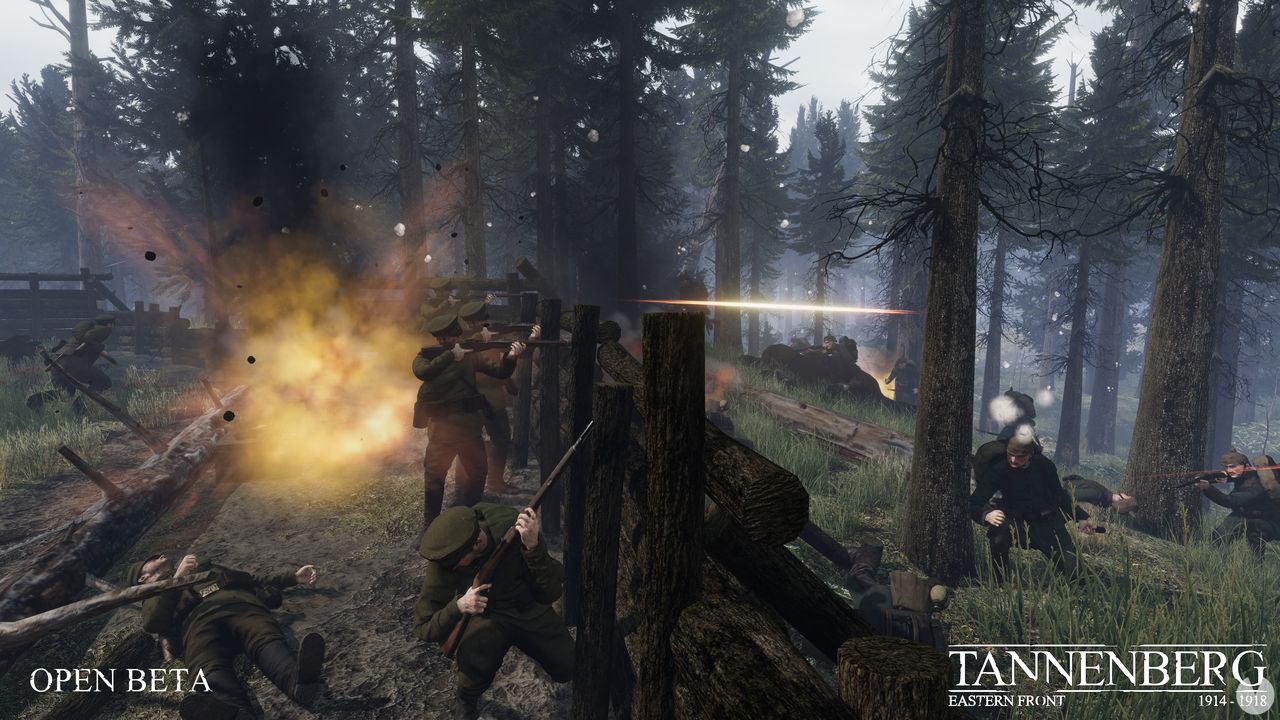 ww1 tannenberg ps4