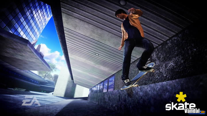 Skate Videojuego (PS3 y Xbox 360) Vandal