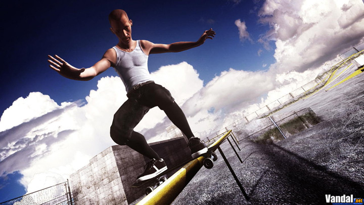 Skate Videojuego (PS3 y Xbox 360) Vandal