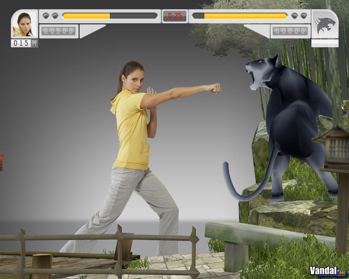 EyeToy Combat Videojuego (PS2) Vandal