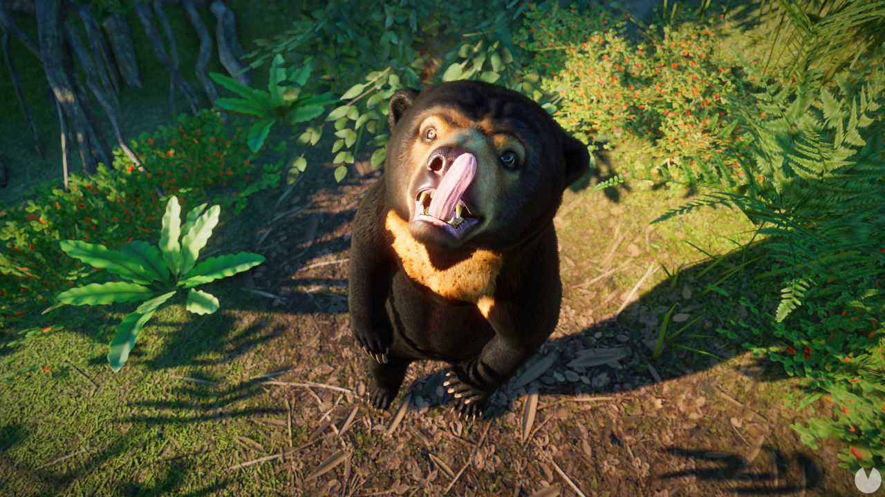 Zoo Feeder Inaccessible at Michael Davidson blog